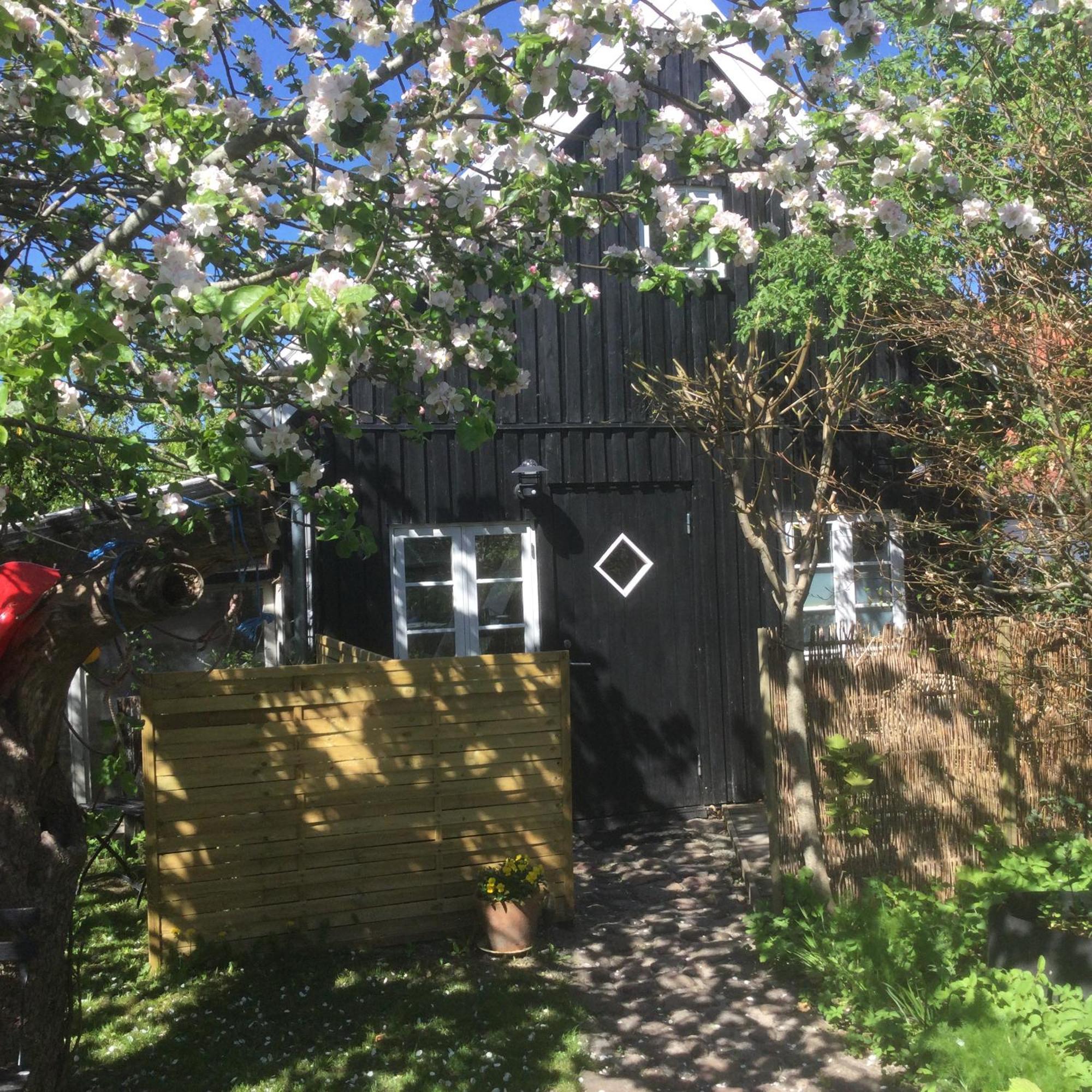 Villa 4 Louisenlund Skanderborg Esterno foto